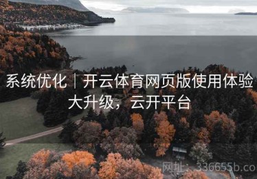 系统优化｜开云体育网页版使用体验大升级，云开平台