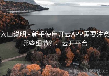 入口说明 - 新手使用开云APP需要注意哪些细节？，云开平台