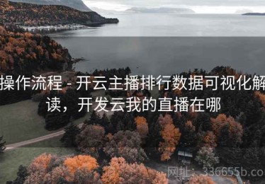 操作流程 - 开云主播排行数据可视化解读，开发云我的直播在哪