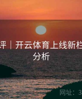 深度测评｜开云体育上线新栏目互动分析
