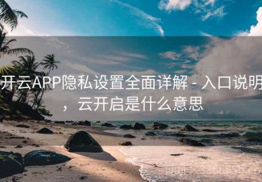 开云APP隐私设置全面详解 - 入口说明，云开启是什么意思