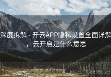 深度拆解 - 开云APP隐私设置全面详解，云开启是什么意思