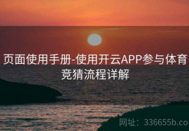 页面使用手册-使用开云APP参与体育竞猜流程详解