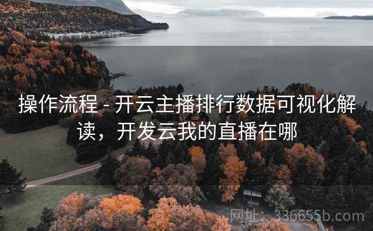 操作流程 - 开云主播排行数据可视化解读，开发云我的直播在哪